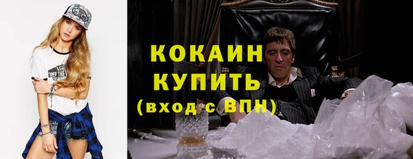 прущие грибы Абаза