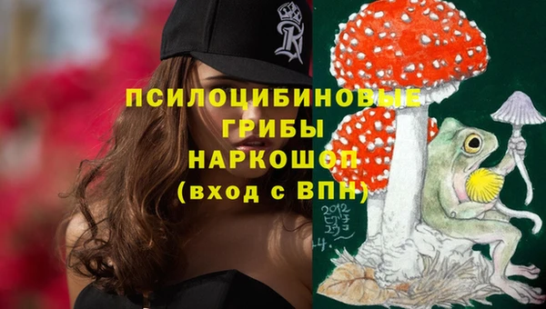 МДПВ Абдулино