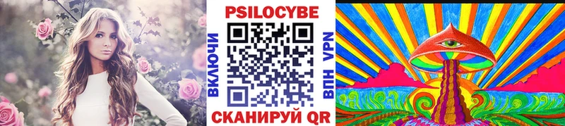 Псилоцибиновые грибы мицелий  площадка официальный сайт  Фокино 