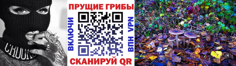 Галлюциногенные грибы Magic Shrooms Фокино